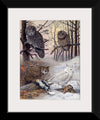 "Great Gray Owl, Barred Owl, Great Howned Owl, Snowy Owl", Louis Agassiz Fuertes