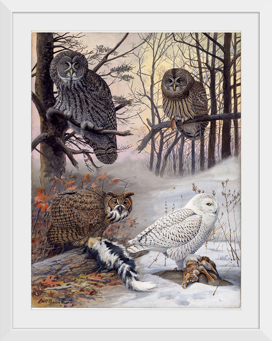 "Great Gray Owl, Barred Owl, Great Howned Owl, Snowy Owl", Louis Agassiz Fuertes