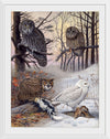 "Great Gray Owl, Barred Owl, Great Howned Owl, Snowy Owl", Louis Agassiz Fuertes