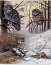 "Great Gray Owl, Barred Owl, Great Howned Owl, Snowy Owl", Louis Agassiz Fuertes