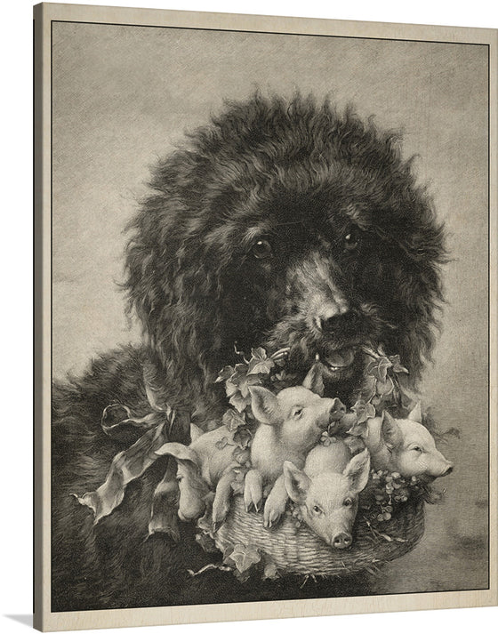 Bring home a touch of vintage charm with this delightful black and white illustration of a proud black dog carrying a basket of piglets. This adorable poodle is sure to add a touch of nostalgia to any room in your home.