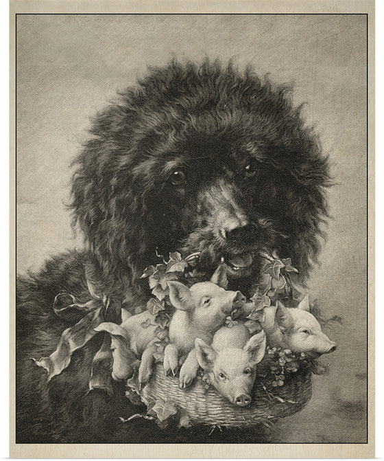"Poodle with Piglets"