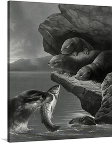  "Little Otters" is a print that transports us to the year 1877 and immerses us in the fascinating world of these charming animals. The picture shows some playful, tiny, salmon-colored otters having fun in their natural environment. Their elegant motions and sly looks are expertly captured, inspiring awe and delight. 