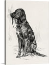 Enrich your home with the timeless charm of John Davis Hatch's "Aldrich's Dog," a captivating pen-and-ink illustration that captures the essence of canine companionship. This endearing artwork depicts a proud black dog, its muscular frame and attentive demeanor exuding a sense of loyalty and affection. The dog's gentle gaze and slightly curled tail suggest a playful spirit, while its upright posture conveys a sense of alertness and protectiveness.