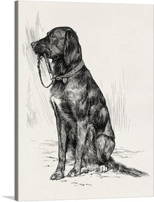  Enrich your home with the timeless charm of John Davis Hatch's "Aldrich's Dog," a captivating pen-and-ink illustration that captures the essence of canine companionship. This endearing artwork depicts a proud black dog, its muscular frame and attentive demeanor exuding a sense of loyalty and affection. The dog's gentle gaze and slightly curled tail suggest a playful spirit, while its upright posture conveys a sense of alertness and protectiveness.