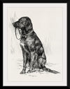 "Aldrich's Dog", John Davis Hatch