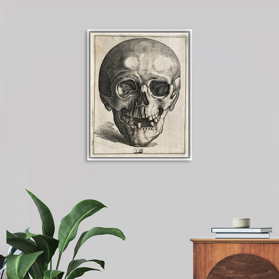 "Skull Etching"