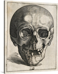  Delve into the eerie world of horror with this captivating image of a close-up engraved skull with teeth. This vintage sketch is a masterpiece of dark art, evoking a sense of mystery and intrigue.  Imagine this print hanging on your wall, its haunting gaze drawing you in. The intricate details of the skull are breathtaking, from the sharp teeth to the weathered bones. 