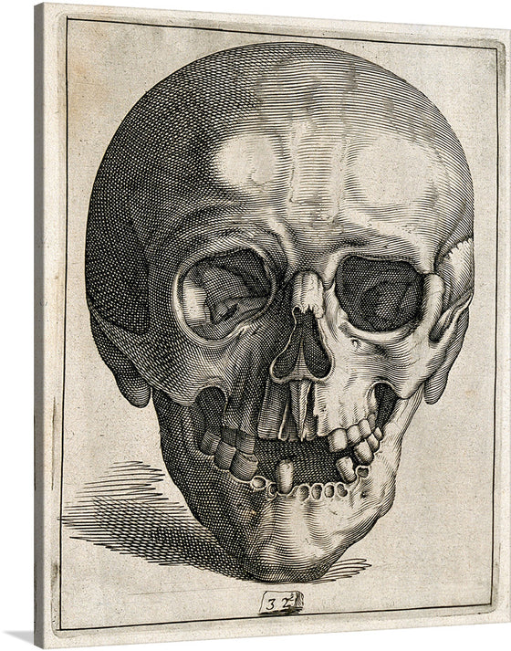 Delve into the eerie world of horror with this captivating image of a close-up engraved skull with teeth. This vintage sketch is a masterpiece of dark art, evoking a sense of mystery and intrigue.  Imagine this print hanging on your wall, its haunting gaze drawing you in. The intricate details of the skull are breathtaking, from the sharp teeth to the weathered bones. 