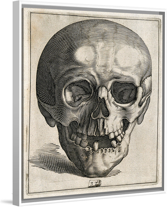 "Skull Etching"