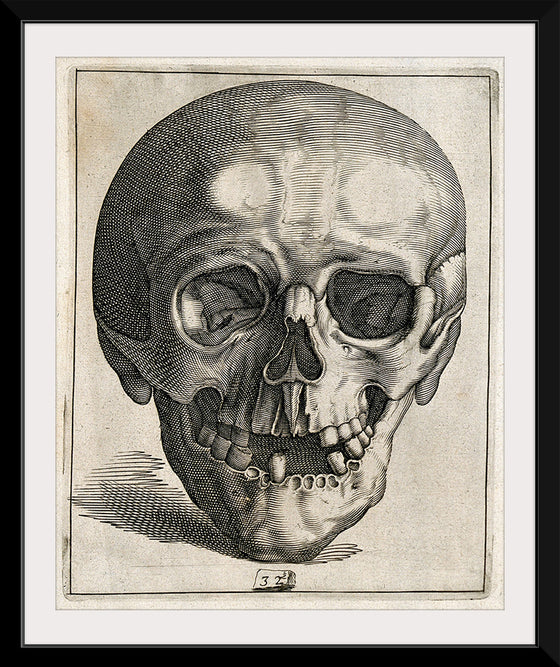 "Skull Etching"