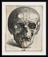 "Skull Etching"