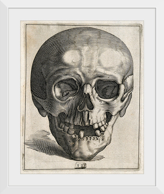 "Skull Etching"