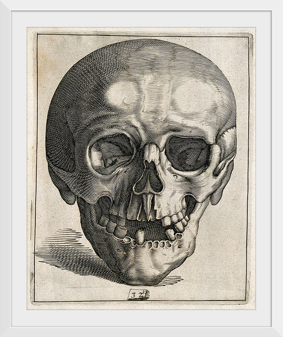 "Skull Etching"