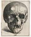 "Skull Etching"