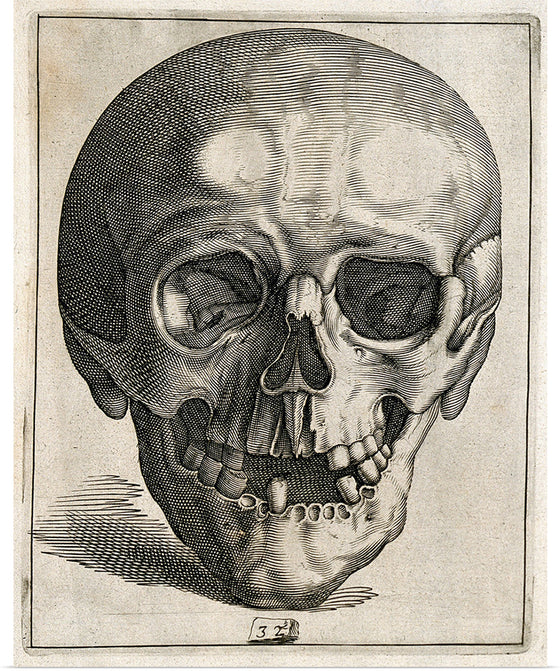 "Skull Etching"