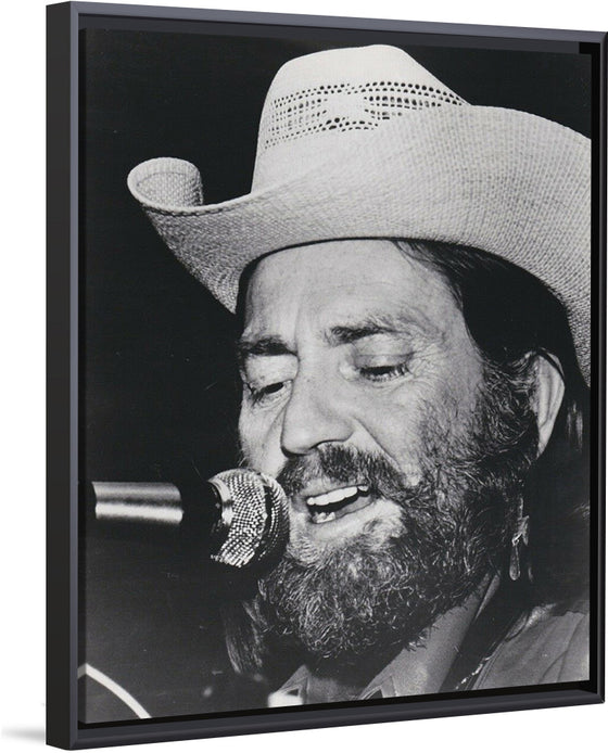 "Willie Nelson 1974"