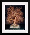 "Kristallnacht, Tree Of Life", Sal Villano