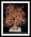 "Kristallnacht, Tree Of Life", Sal Villano