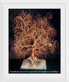 "Kristallnacht, Tree Of Life", Sal Villano