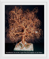 "Kristallnacht, Tree Of Life", Sal Villano