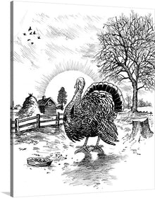  This turkey is ready for it's Thanksgiving meal. Its black and white feathers stand out against the rustic backdrop of a rustic farm. This print is sure to be a perfect addition to your holiday!