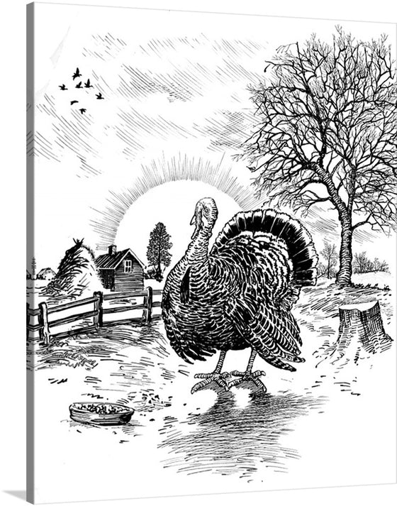 This turkey is ready for it's Thanksgiving meal. Its black and white feathers stand out against the rustic backdrop of a rustic farm. This print is sure to be a perfect addition to your holiday!