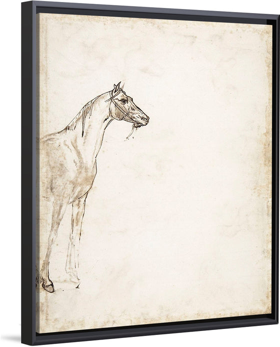 "Study of a Horse", Theodore Gericault