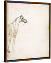 "Study of a Horse", Theodore Gericault