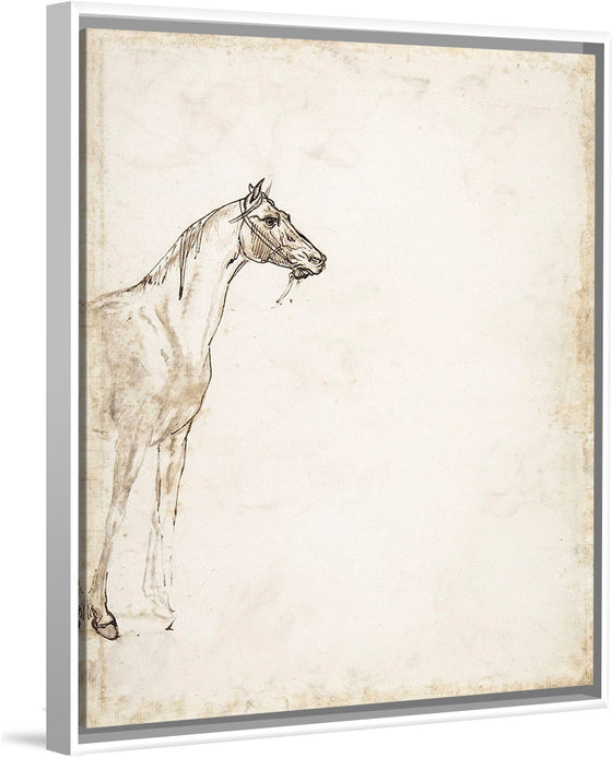 "Study of a Horse", Theodore Gericault