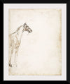 "Study of a Horse", Theodore Gericault