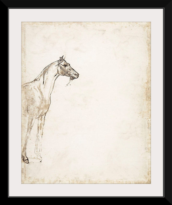 "Study of a Horse", Theodore Gericault