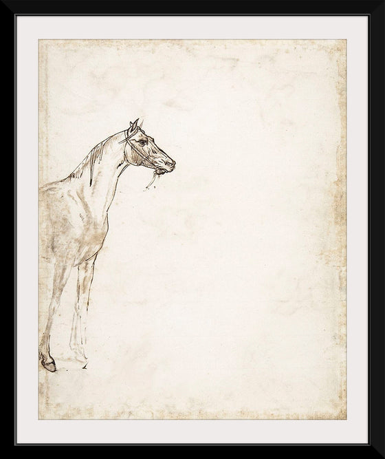 "Study of a Horse", Theodore Gericault