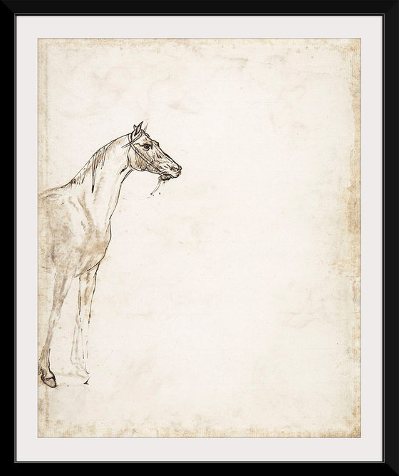 "Study of a Horse", Theodore Gericault