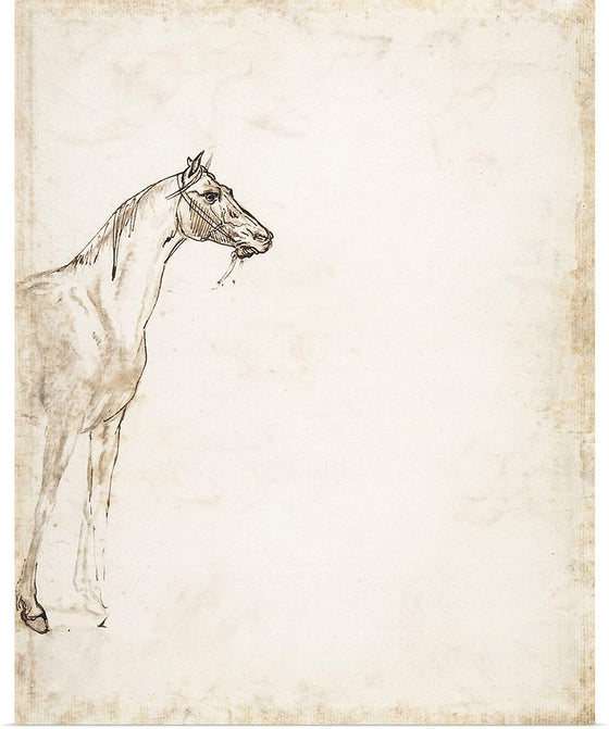 "Study of a Horse", Theodore Gericault