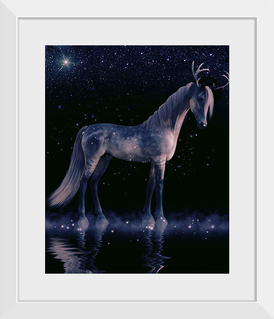 "The Night Horse"