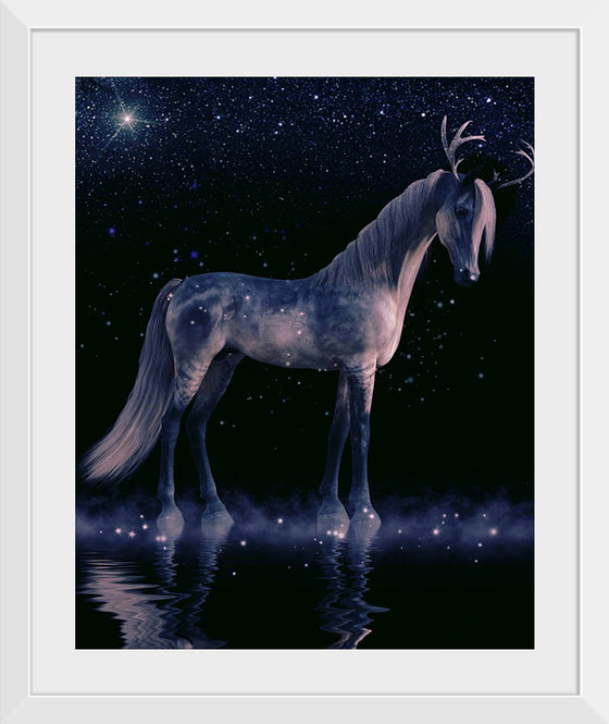 "The Night Horse"