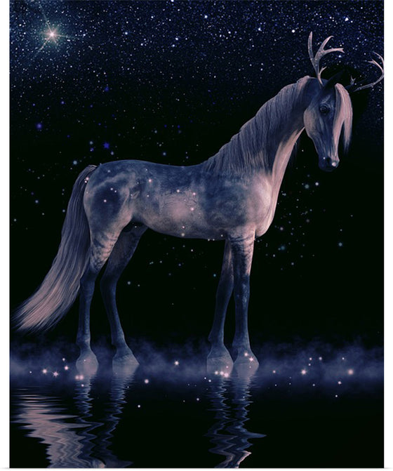 "The Night Horse"