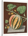 Scarlet Flesh Romana Melon (Cucumis)&nbsp;(1812) by George Brookshaw is a stunning and evocative botanical illustration that captures the beauty and allure of this delicious fruit. The painting depicts a ripe Romana melon, its deep red flesh exposed and inviting. 