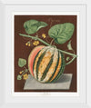 "Scarlet Flesh Romana Melon (Cucumis) (1812)", George Brookshaw