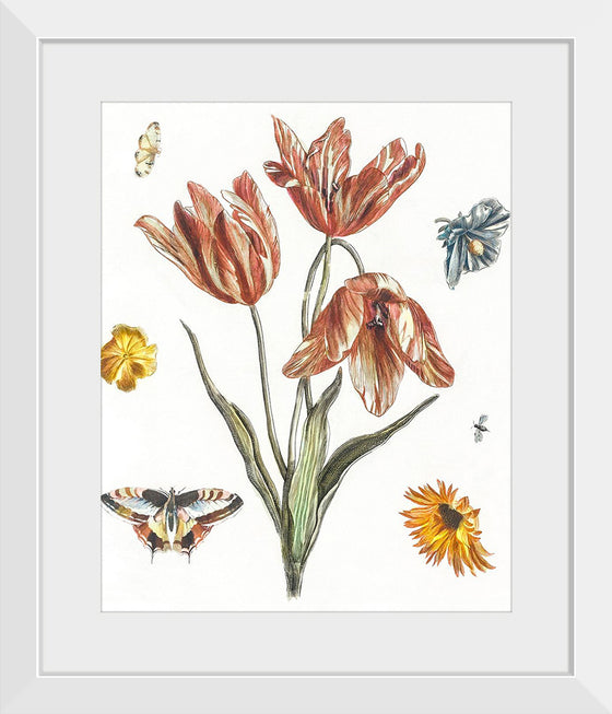 "Flowers, Butterflies and a Fly", Johan Teyler