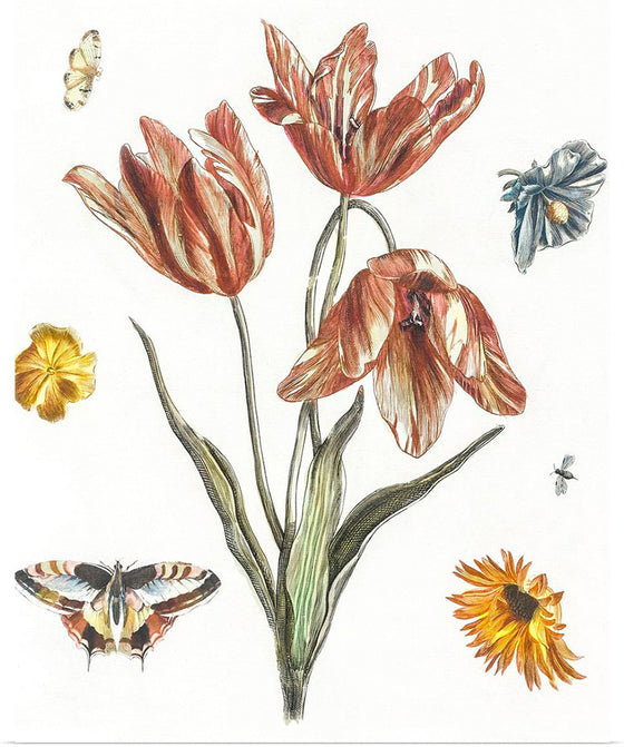 "Flowers, Butterflies and a Fly", Johan Teyler