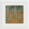 "Birch Forest( 1903)", Gustav Klimt