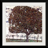 "Apple Tree II(1916)", Gustav Klimt