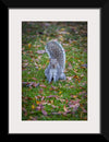 "Dapper Grey Squirrel"