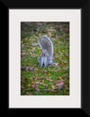 "Dapper Grey Squirrel"