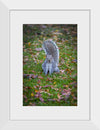 "Dapper Grey Squirrel"