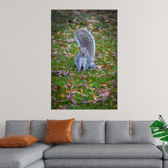 "Dapper Grey Squirrel"