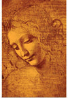 "Testa di fanciulla detta la scapigliata(1500)", Leonardo da Vinci