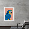 "Blue and Gold Macaw Crop", Pamela Munger